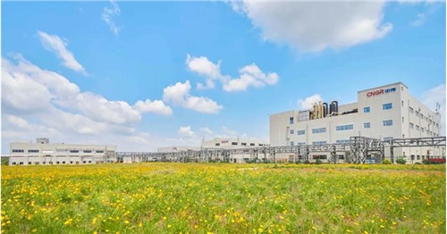 連續三年排名穩步提升！中偉股份入選2025年中國民營企業500強